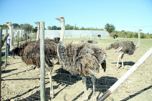 20111002_Exprinzefahrt_064.JPG