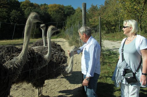 20111002_Exprinzefahrt_097.JPG