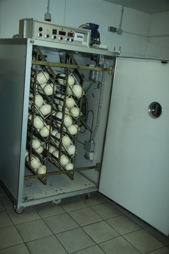 20111002_Exprinzefahrt_106.JPG
